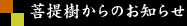 新着情報